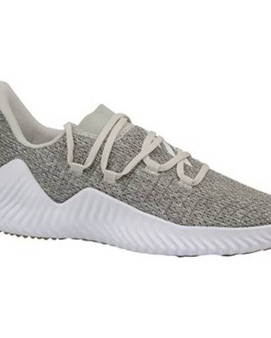 Fitness adidas  Alphabounce Trainer